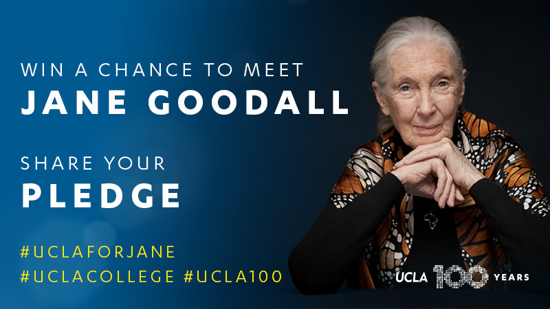 LuskinLecture_ContestImage_Goodall Image of Jane Goodall Pledge Contest