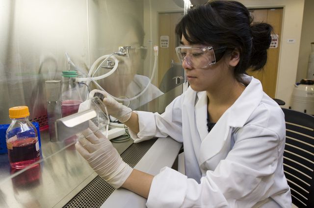 Researcher in UCLA Lab