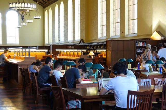 Students studying in Powell library