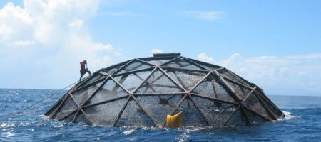 Divers survey submersible cages used to farm cobia off the coast of Puerto Rico. UCLA researchers conducted the first country-by-country evaluation of the potential for marine aquaculture under current policies and practices.