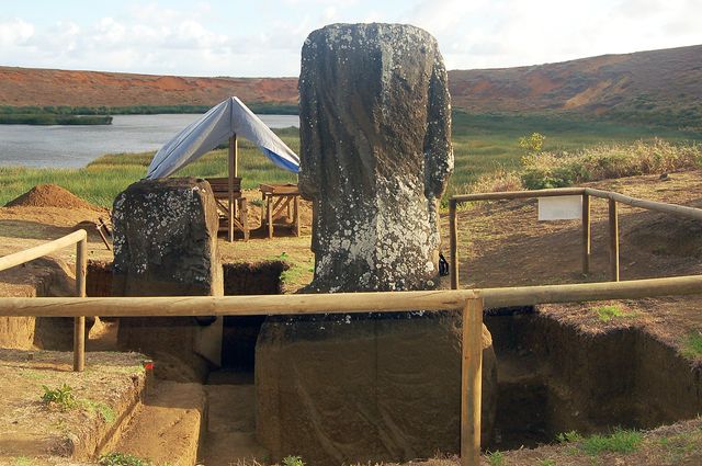 Excavation of Moai 156 (left) and 157. The visible difference in color and texture, and thus in preservation, is due to soil and depth coverage.