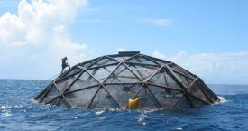 Divers survey submersible cages used to farm cobia off the coast of Puerto Rico. UCLA researchers conducted the first country-by-country evaluation of the potential for marine aquaculture under current policies and practices.