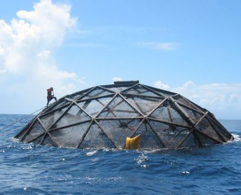 Divers survey submersible cages used to farm cobia off the coast of Puerto Rico. UCLA researchers conducted the first country-by-country evaluation of the potential for marine aquaculture under current policies and practices.