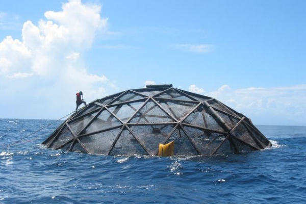 Divers survey submersible cages used to farm cobia off the coast of Puerto Rico. UCLA researchers conducted the first country-by-country evaluation of the potential for marine aquaculture under current policies and practices.