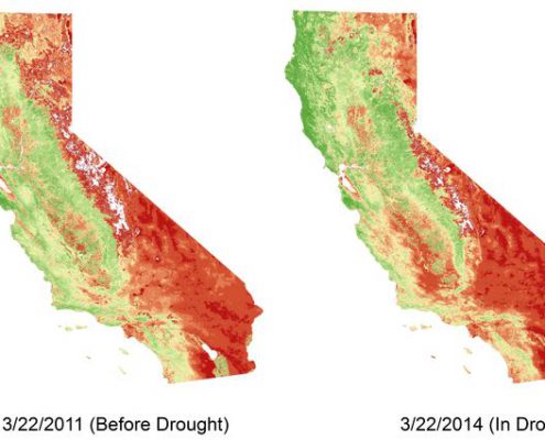 Diagram of Vegetation density in California in 2011 versus 2014.