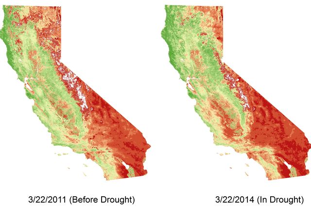 Diagram of Vegetation density in California in 2011 versus 2014.