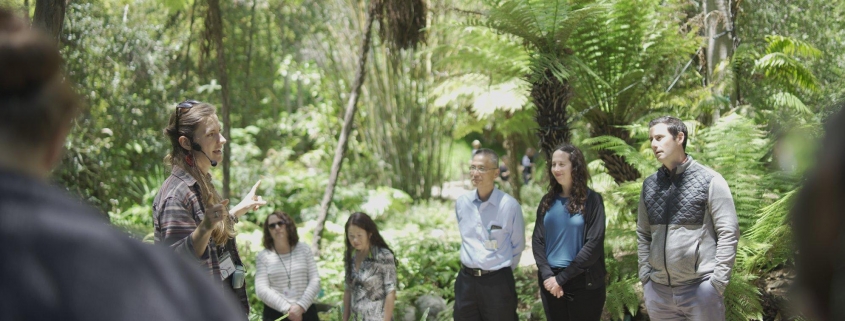 Photograph of people standing in botanical garden listening to tour guide.