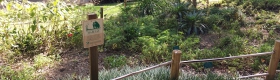 Photograph of garden with and wooden fence