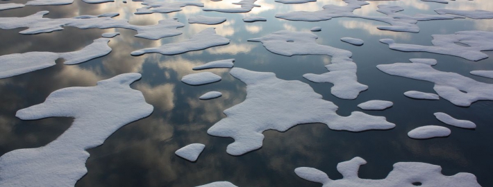 Picture of melting ice in body of water.