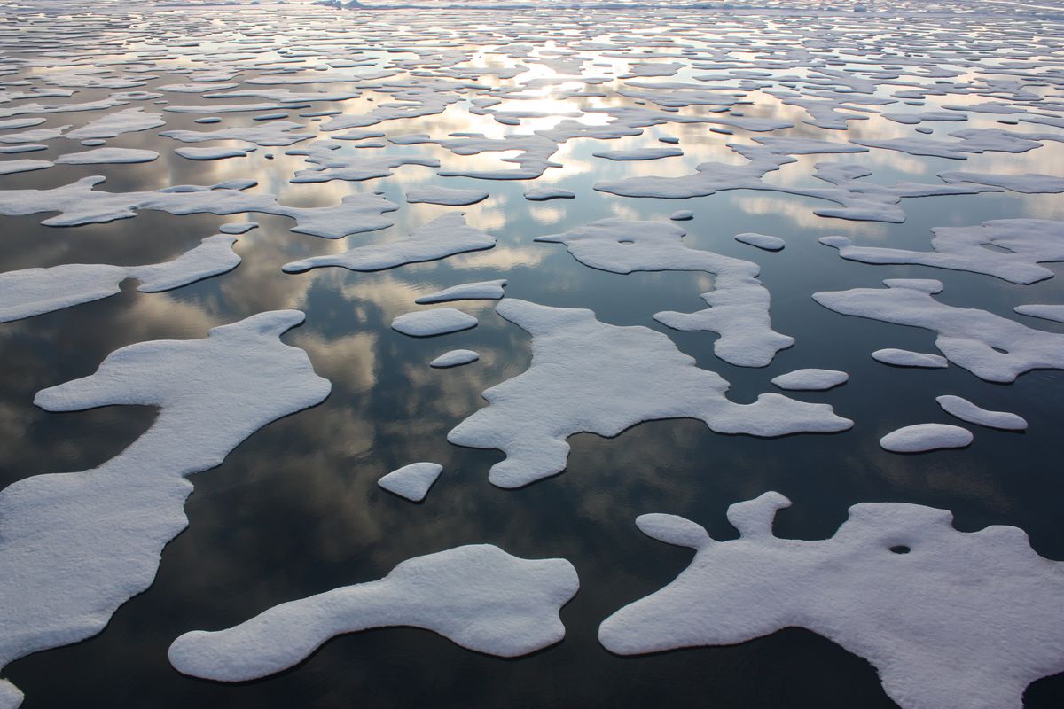 Picture of melting ice in body of water.