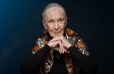 Image of Dr. Jane Goodall