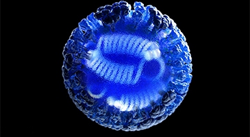Photo of a computer-generated 3D rendering of a flu virus.