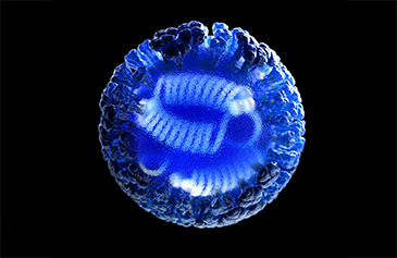 Photo of a computer-generated 3D rendering of a flu virus.