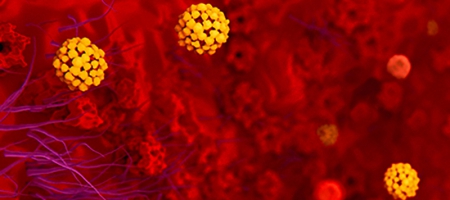 A photo of Coronavirus in lungs.