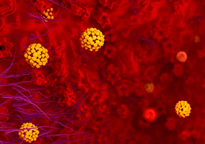 Coronavirus-in-lungs-2 A photo of Coronavirus in lungs.