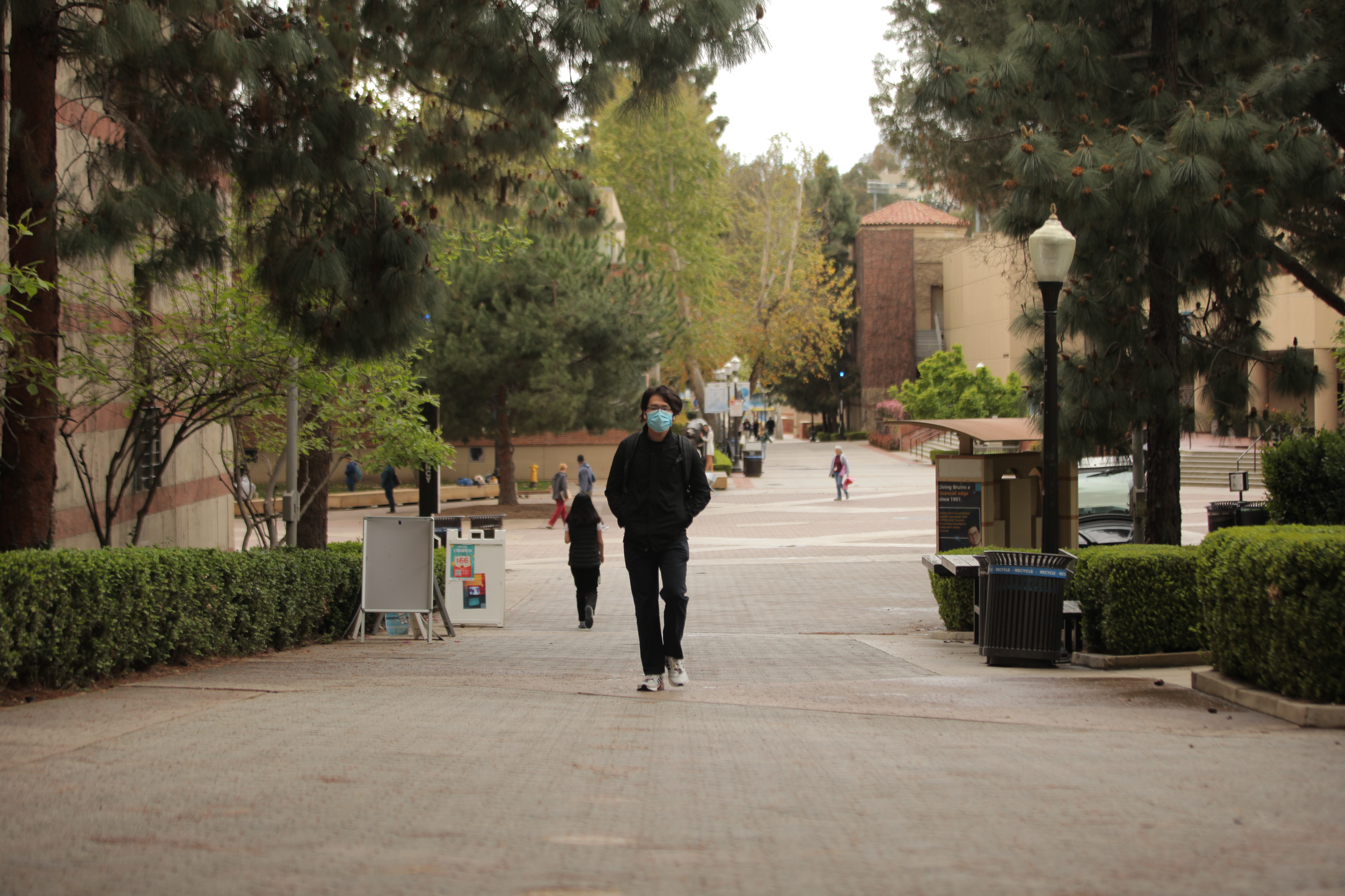 A photo of Bruin Walk.