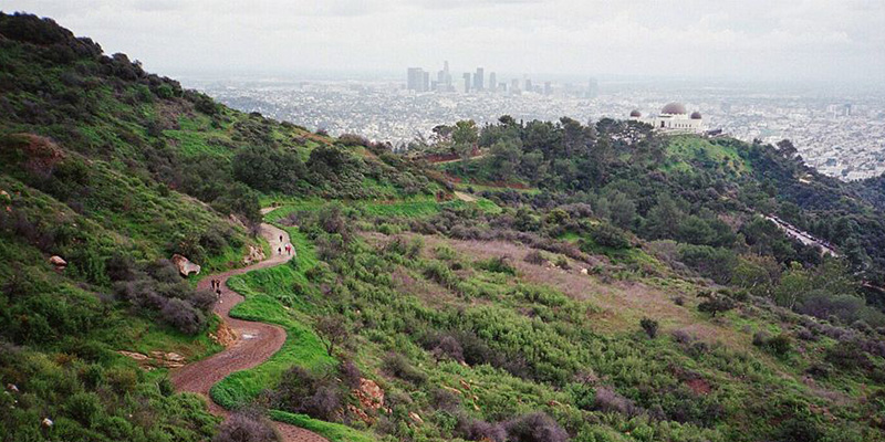 A photo of a Griffith Park vista; the view of the Los Angeles skyline from Griffith Park.