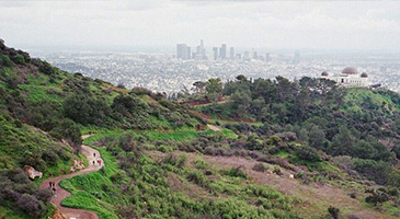 A photo of a Griffith Park vista; the view of the Los Angeles skyline from Griffith Park.