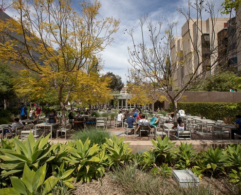 A photo of the UCLA Court of Sciences.