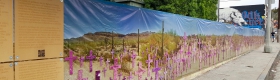 To try to balance against the stark brutality of the numbers, the crosses are shrouded in a color filter of soft pink and purple to represent the fight of international feminism against gender violence.