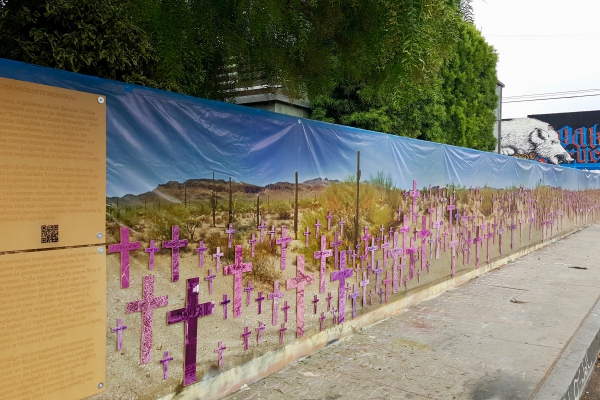 To try to balance against the stark brutality of the numbers, the crosses are shrouded in a color filter of soft pink and purple to represent the fight of international feminism against gender violence.