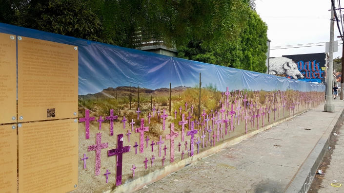 To try to balance against the stark brutality of the numbers, the crosses are shrouded in a color filter of soft pink and purple to represent the fight of international feminism against gender violence. To try to balance against the stark brutality of the numbers, the crosses are shrouded in a color filter of soft pink and purple to represent the fight of international feminism against gender violence.