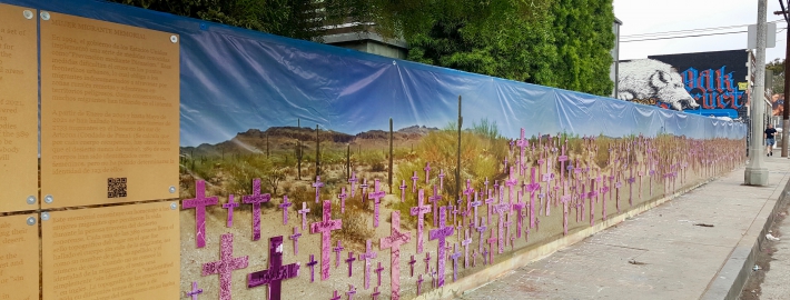 To try to balance against the stark brutality of the numbers, the crosses are shrouded in a color filter of soft pink and purple to represent the fight of international feminism against gender violence.