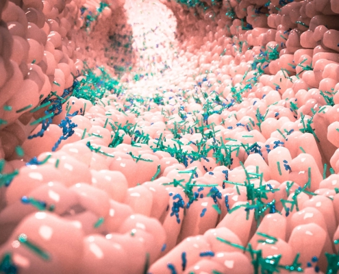 The gut microbiota comprises trillions of bacteria and other microbes that live in the intestines and affect health in multiple ways. Photo Credit: Alpha Tauri 3D Graphics/Shutterstock