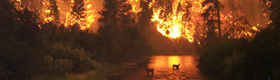 An image of the Bitterroot River Montana forest fire