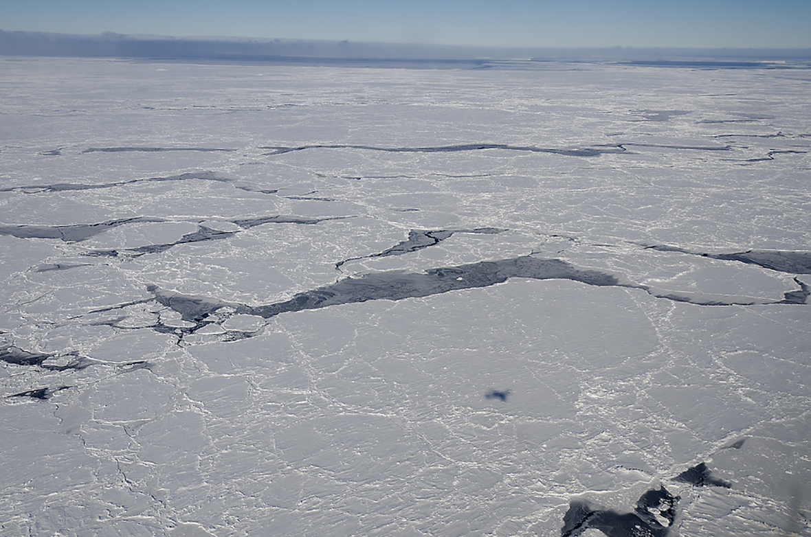 Image of sea ice in the Bellingshausen Sea, Antarctica, photographed from an aircraft 1,500 feet above ground.