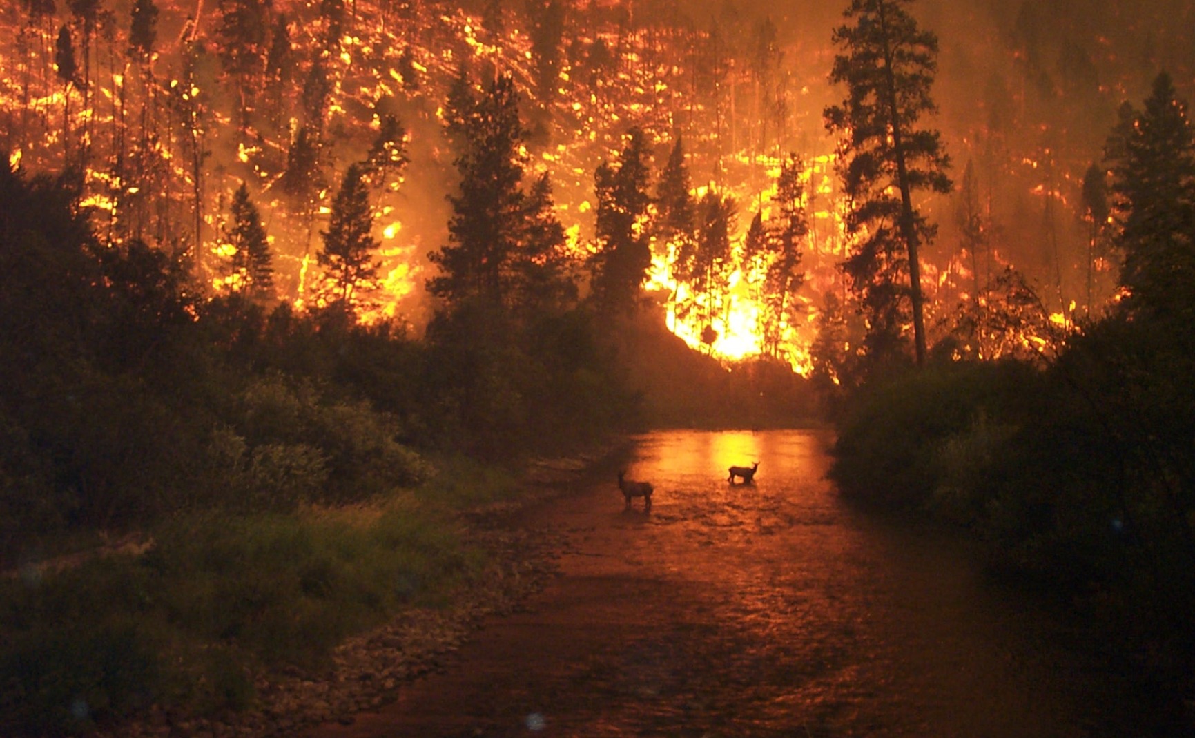 An image of the Bitterroot River Montana forest fire