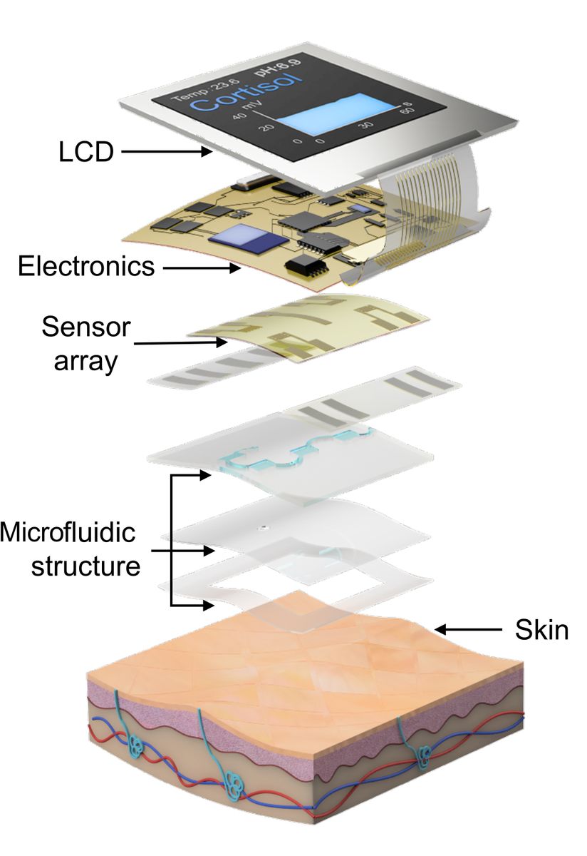 Illustration of the components of the smartwatch and how it sits atop the skin.