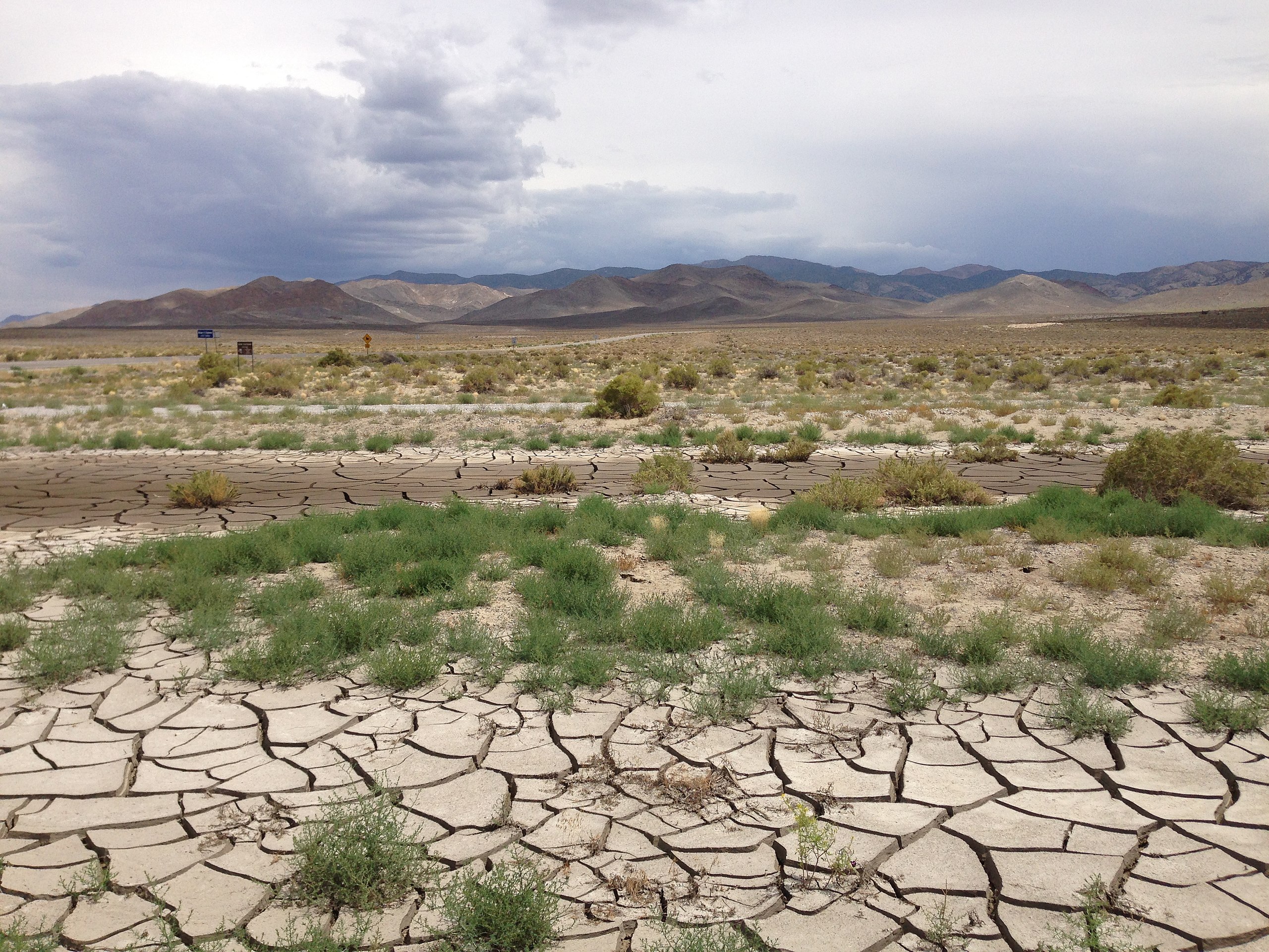 Image of parched land in Nevada