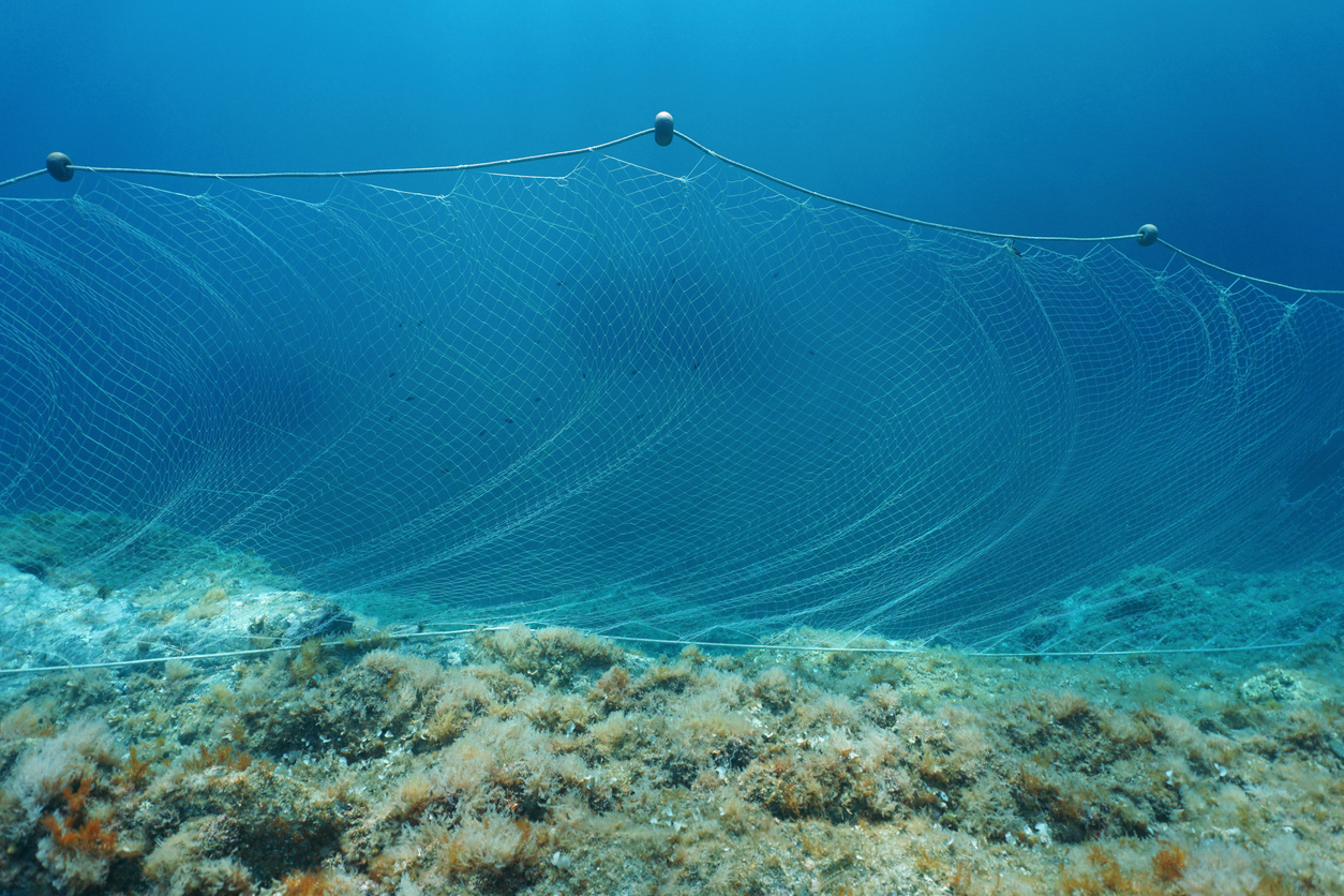 Image of gillnets in the ocean