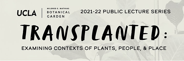 A banner that reads: "Transplanted: Examining contexts of plants, people and place. UCLA Botanical Garden, 2021-22 Public Lecture Series."