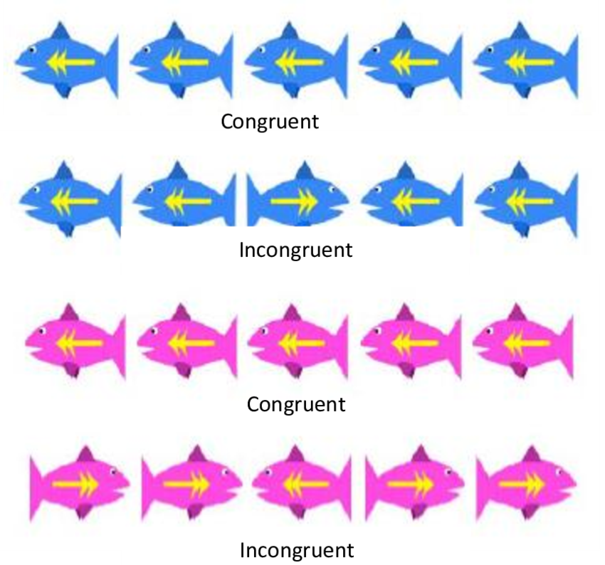 Illustration of blue and pink fishes swimming in opposite directions, used for the cognitive task.