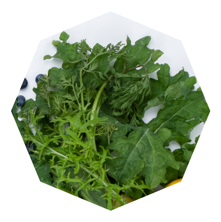 Image of kale and other greens.