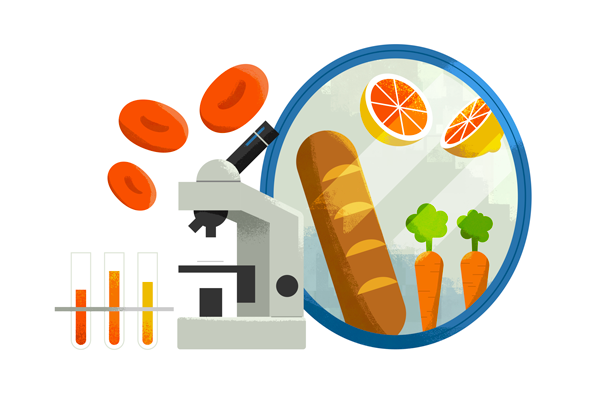 An illustration of objects representing a student who is a physiological science major and food studies minor. On the left side, the illustration depicts a microscope, test tubes and molecules; on the right side, the reflection of these objects in the mirror depicts a bread loaf, carrots and orange slices.