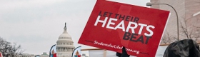 Image of a person in a crowd in front of the U.S. Capitol, holding a sign that reads: "Let their hearts beat."