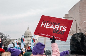 Image of a person in a crowd in front of the U.S. Capitol, holding a sign that reads: "Let their hearts beat."