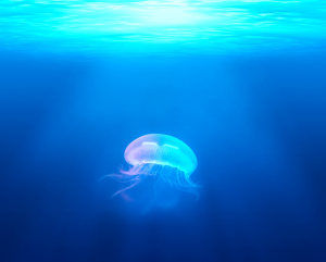 Artist illustration of jellyfish in clear blue water