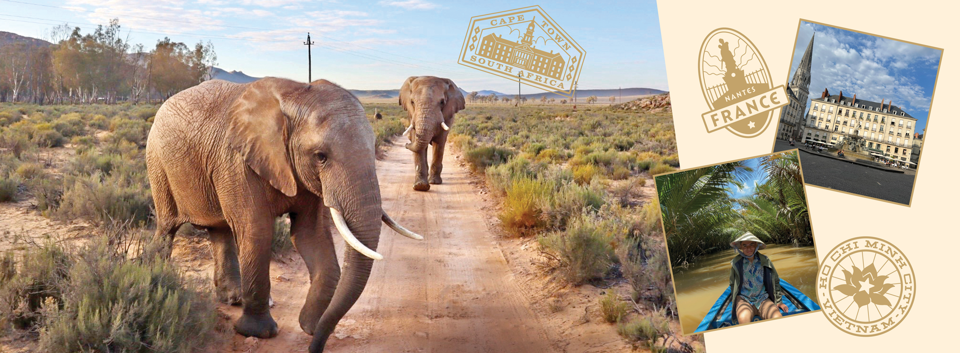 Two elephants walk down a dirt path where green native desert plants abound to the left and right; trees and mountains in the distance give way to a blue partially-cloudy sky. On the right-hand side, golden stamp-inspired illustrations of "Cape Town, South Africa," "Nantes, France," "Ho Chi Minh City, Vietnam" and student-taken photographs against a tan background.