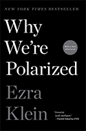 Why We're Polarized book cover