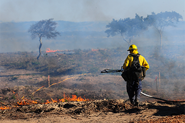 Firefighter implementing a controlled burn