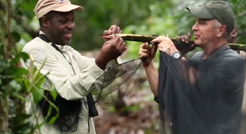 Two men in a jungle environment conducting an experiment involving a wooden branch with a sharp point and a thin black net.