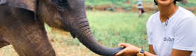 A woman wearing grey pants and a white shirt in an outdoor setting resting on her knees as she plays with a baby elephant.