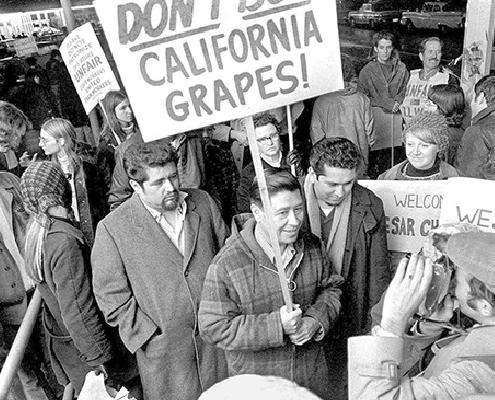 A black and white photograph of César Chávez participating in a protest with a picket sign that reads, "don't [buy] California grapes!"