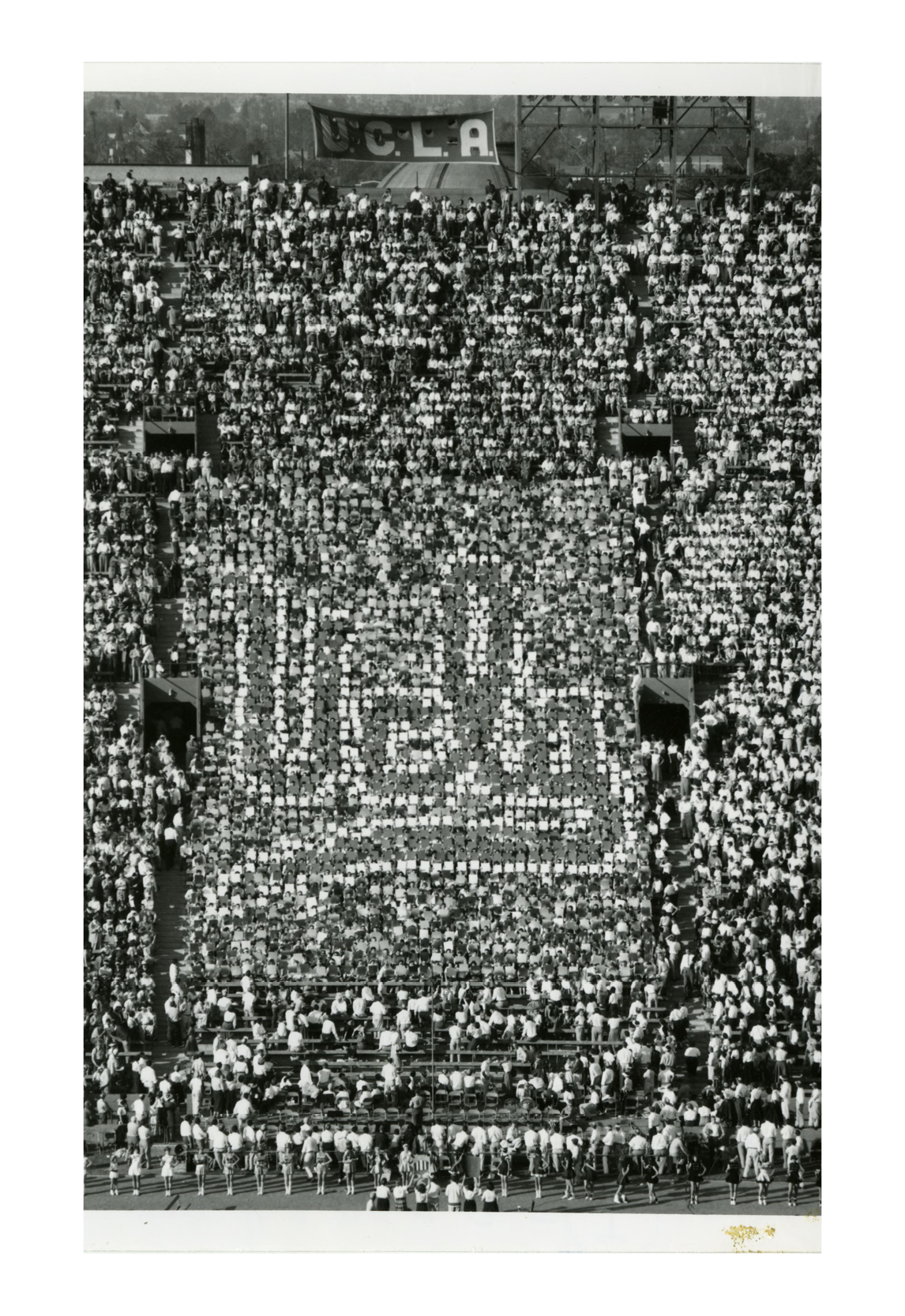 A black and white photograph from 1955 of students at a football game holding up cards spelling out "UCLA."