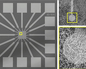 Images of electrodes (small squares) and nanowires