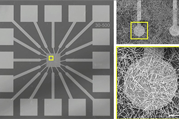 Images of electrodes (small squares) and nanowires